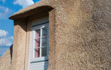 Cherry Tree thatch roof disadvantages